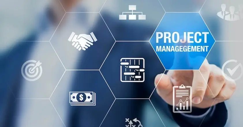 Project Management & Consulting